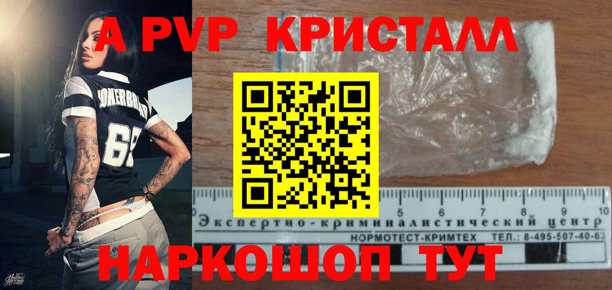 Альфа ПВП СК Ярославль