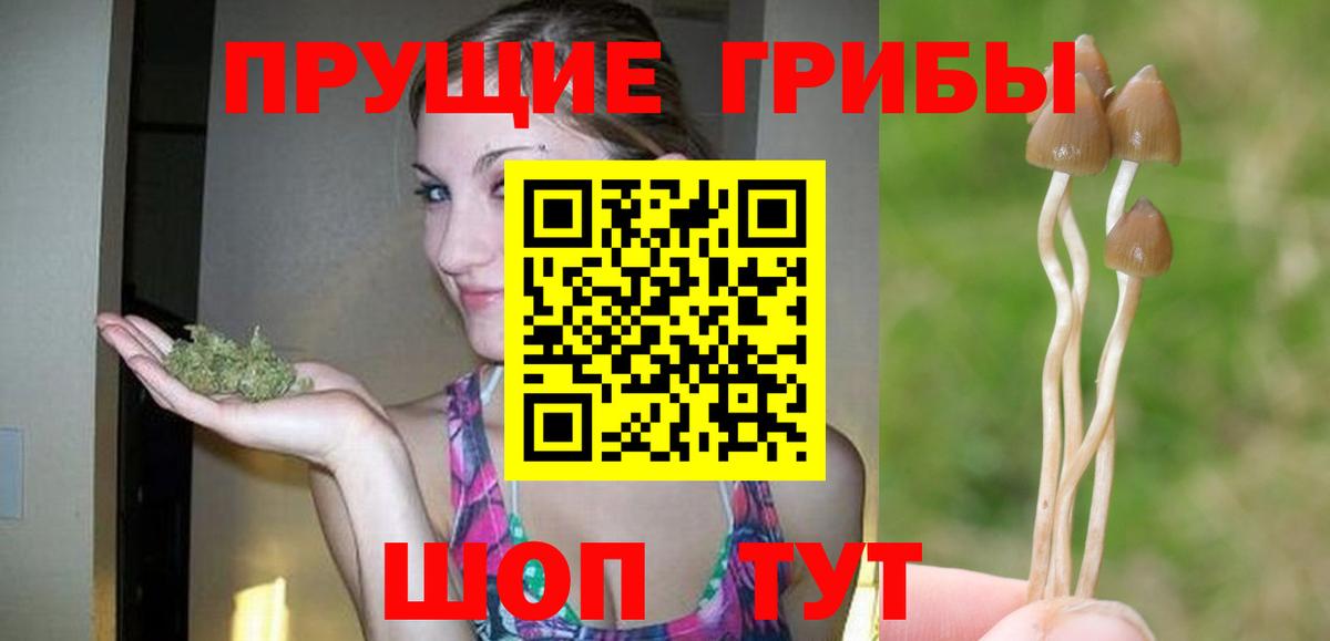 Ярославль  Псилоцибиновые грибы мухоморы  Вход с VPN  Галлюциногенные грибы мухоморы 