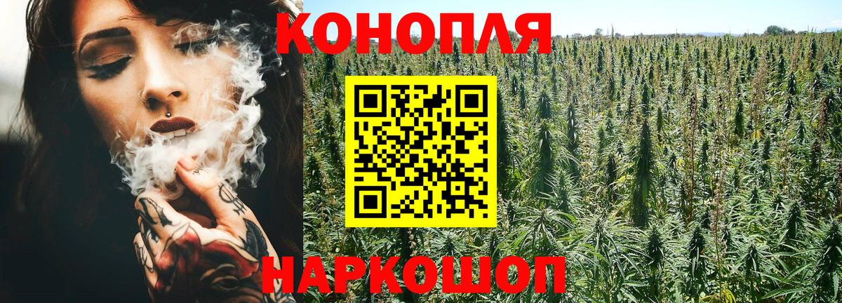 Ярославль  Бошки Шишки ГИДРОПОН  Вход с VPN  Каннабис MAZAR 